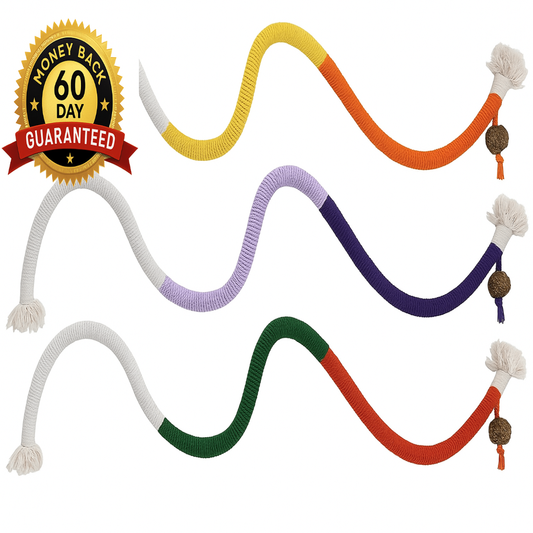 Healthier, Cleaner Teeth, Prevent Diseases-Let Your Cat Play & Clean at Once!”